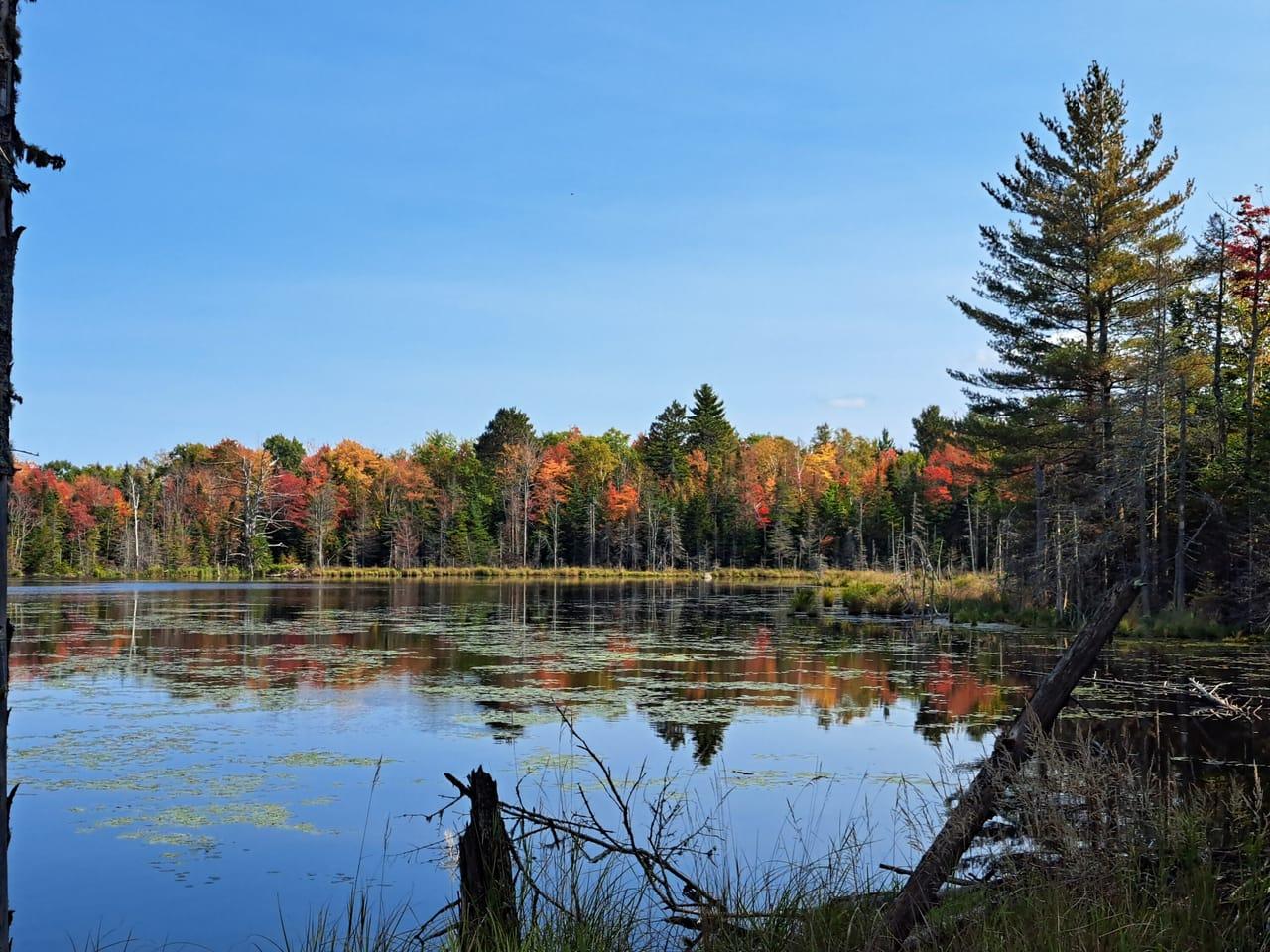 Mud Pond Road Peru NY 12972