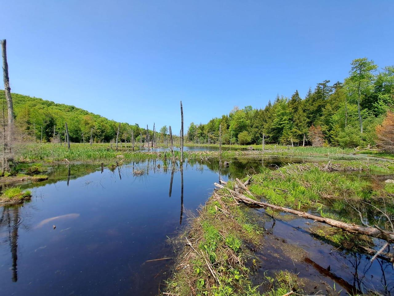 off Apple Creek Lane Hadley NY 12835