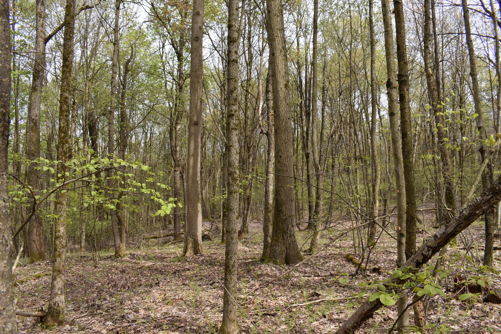 off Hunt Road Pittsfield PA 16340