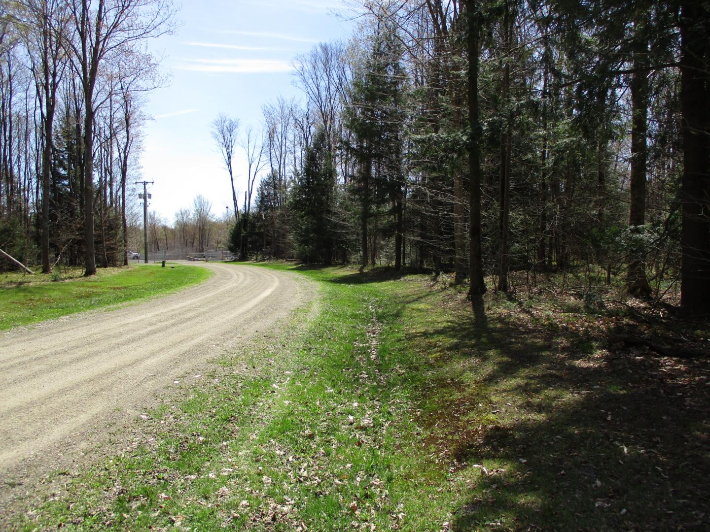 Peach Drive Cyclone PA 16726