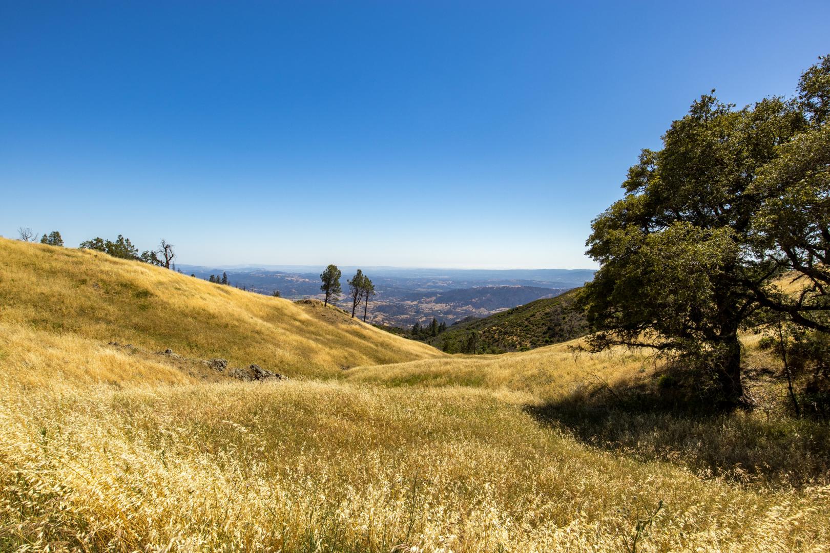 Pine Flat Rd Healdsburg CA 95448