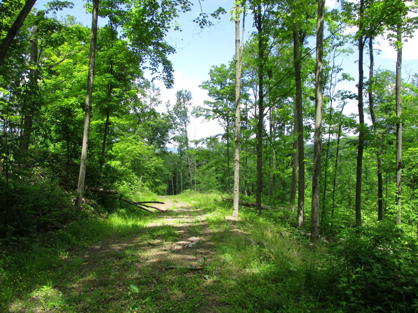 Prosser Lane Bradford PA 16701