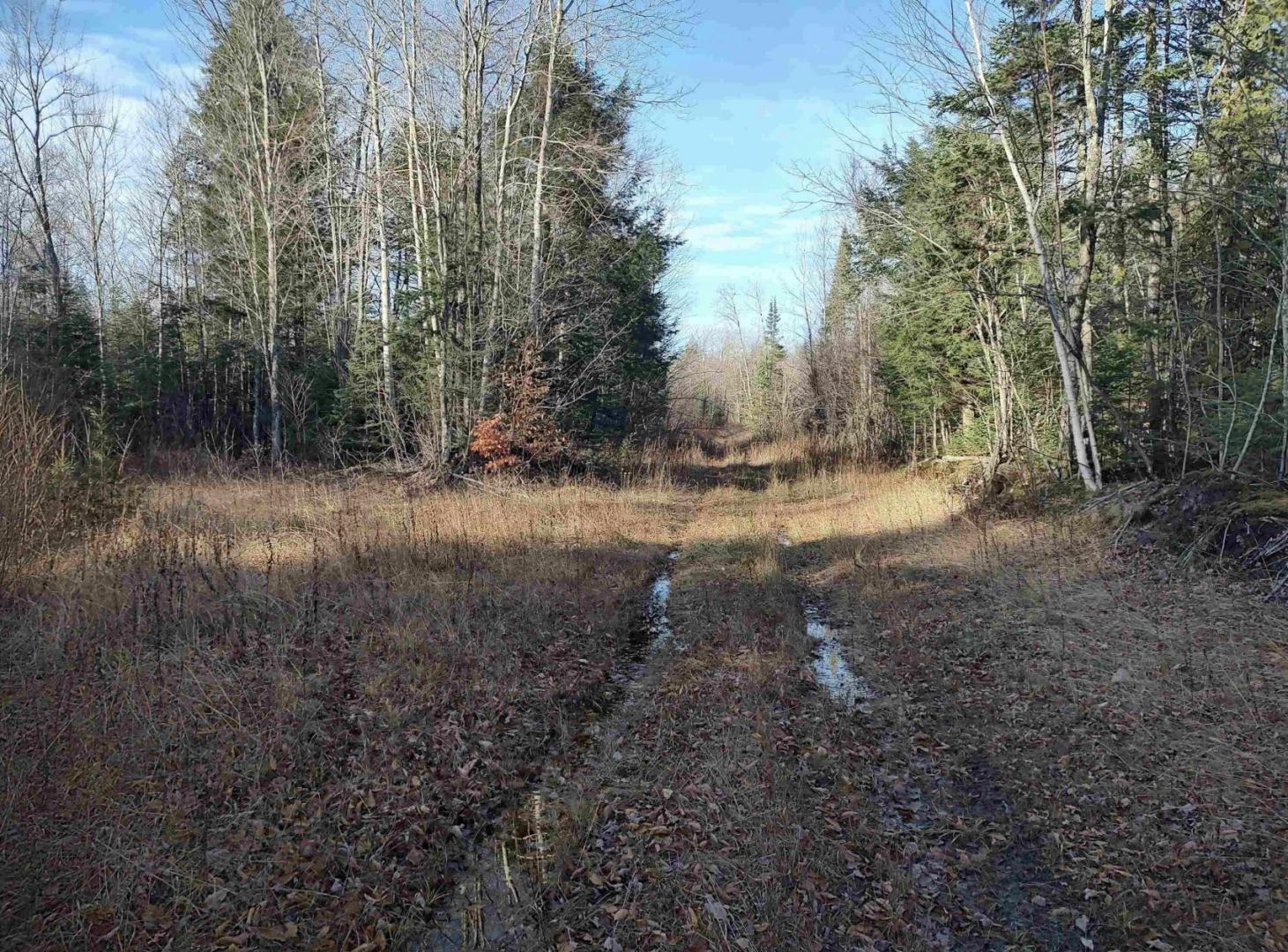 TBD Billie Helmer Road Deerton MI 49822