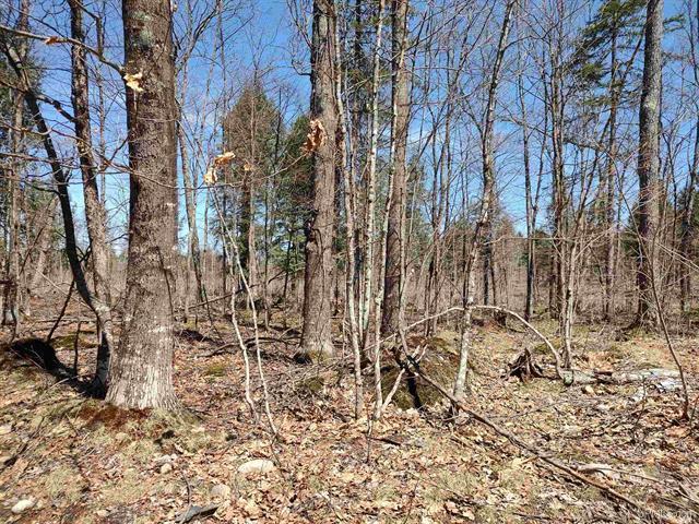 TBD Black Creek (East) Road Skanee MI 49962