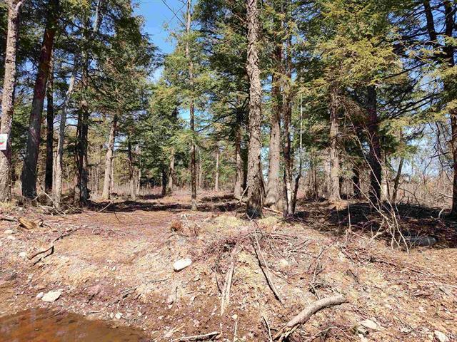 TBD Black Creek (West) Road Skanee MI 49962