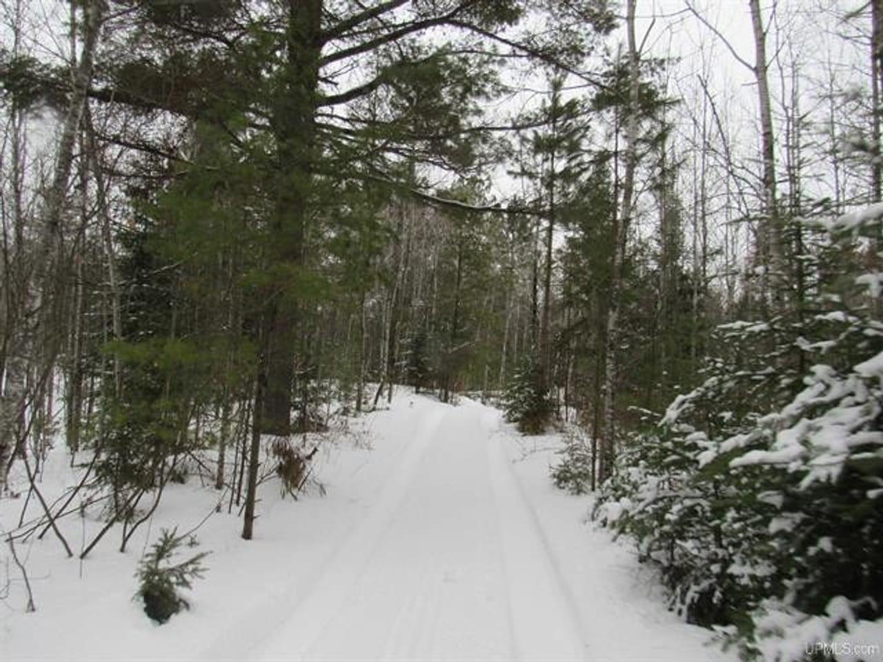 TBD FFR 2127K Road Iron River MI 49935