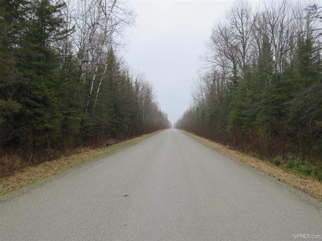 TBD Friday - Q.1 Road Rapid River  49878