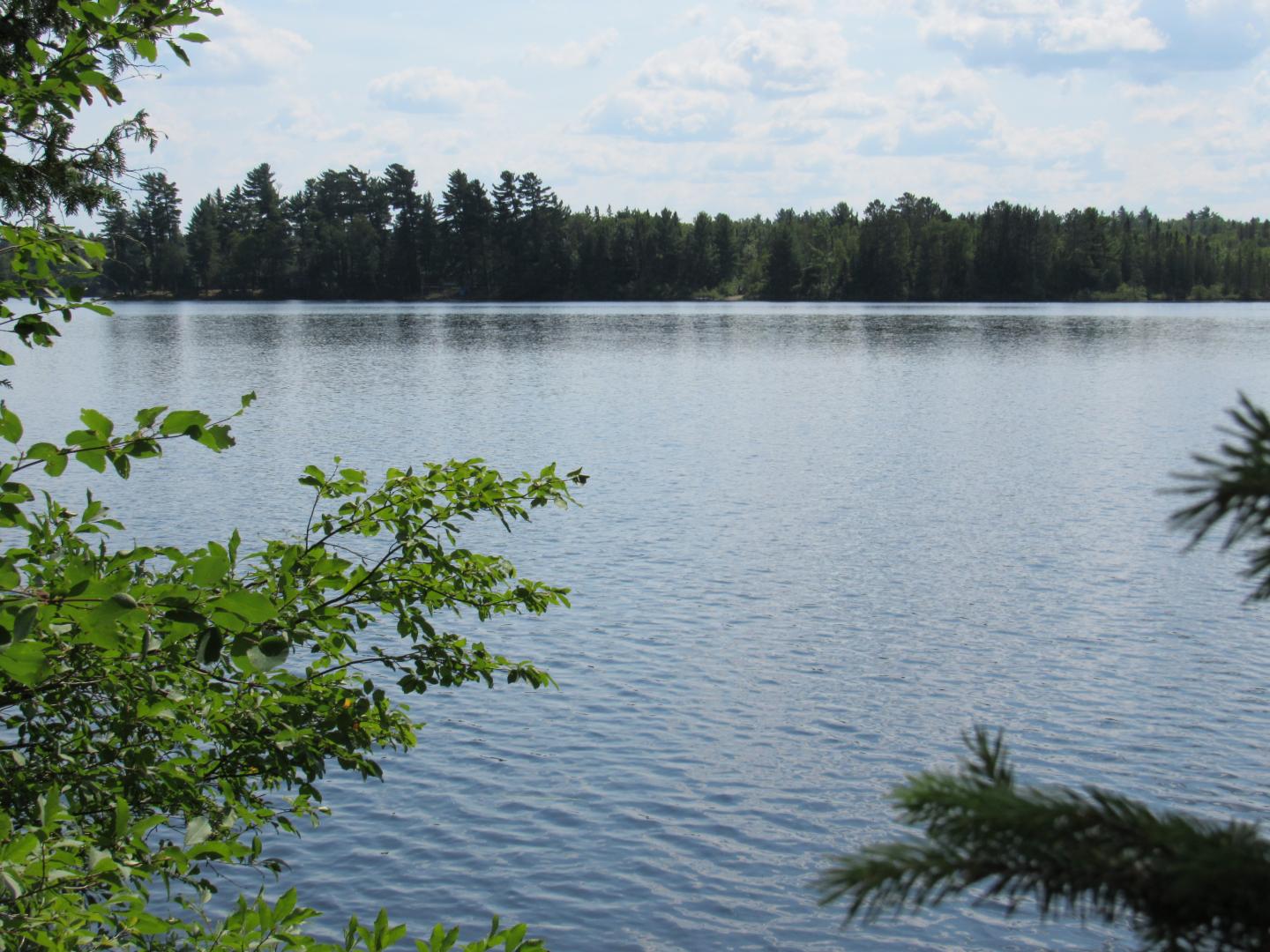 TBD Off Berry Road Michigamme MI 49861