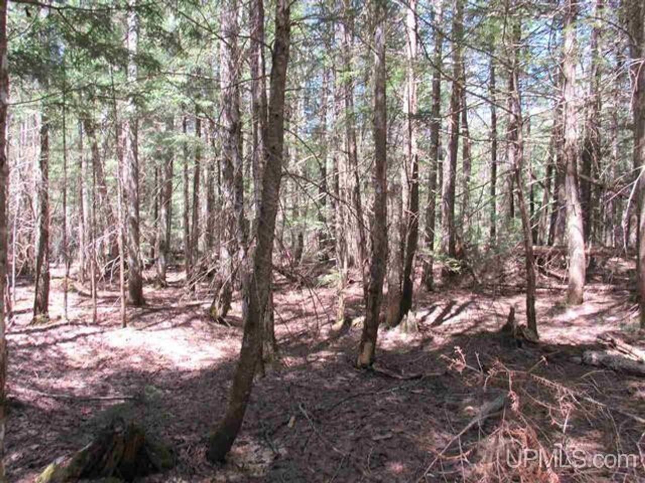 TBD Off Klingville Road Chassell  49916