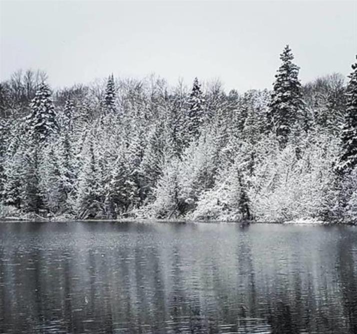 TBD Off Laurel Lake Trail Newberry MI 49868