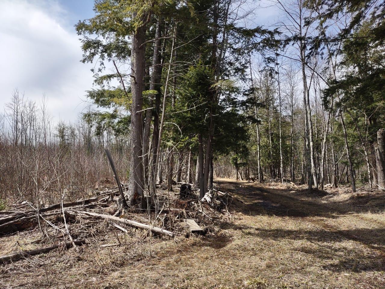 TBD Off Ohman Road L'Anse MI 49946