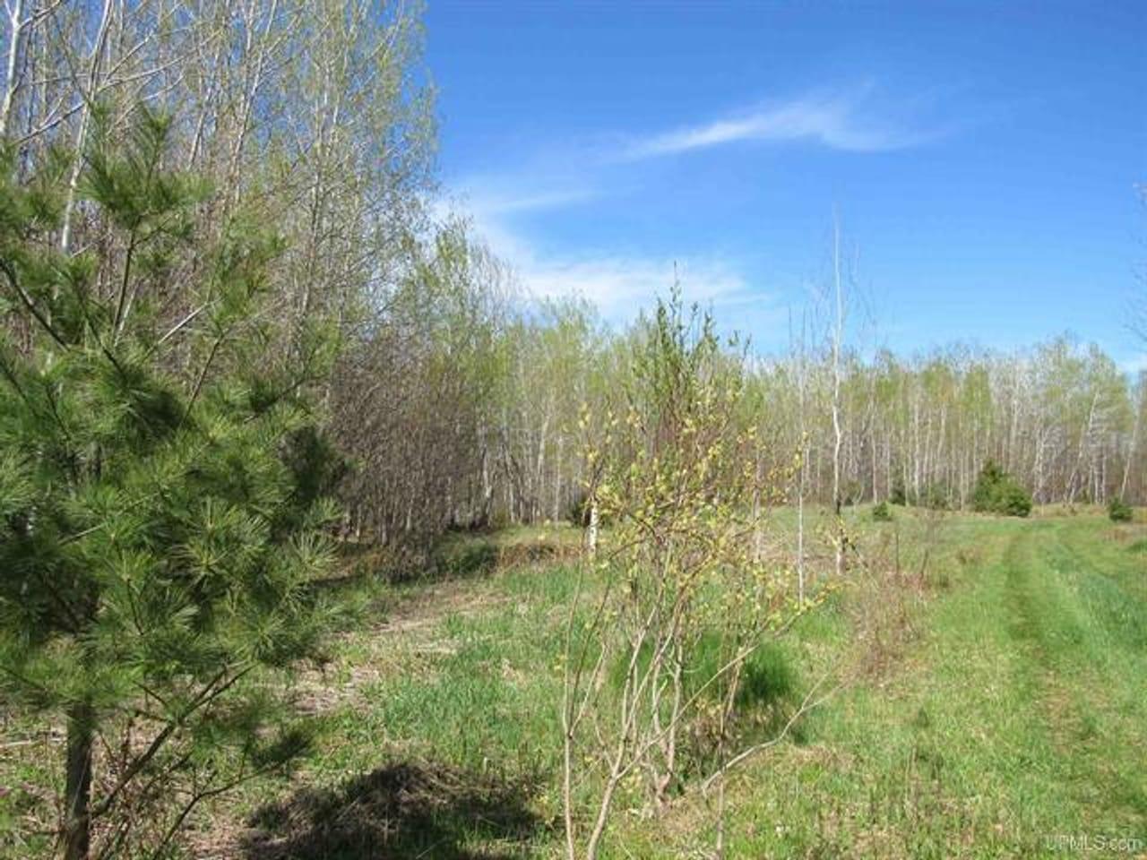 TBD Off Rice Lake Rd Lake Linden MI 49945