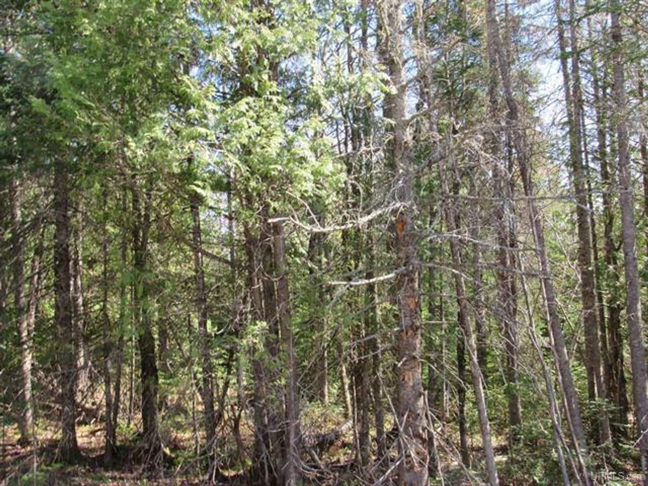 TBD Rice Lake Road Lake Linden MI 49945