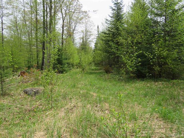 TBD Section 16 Road Covington  49919