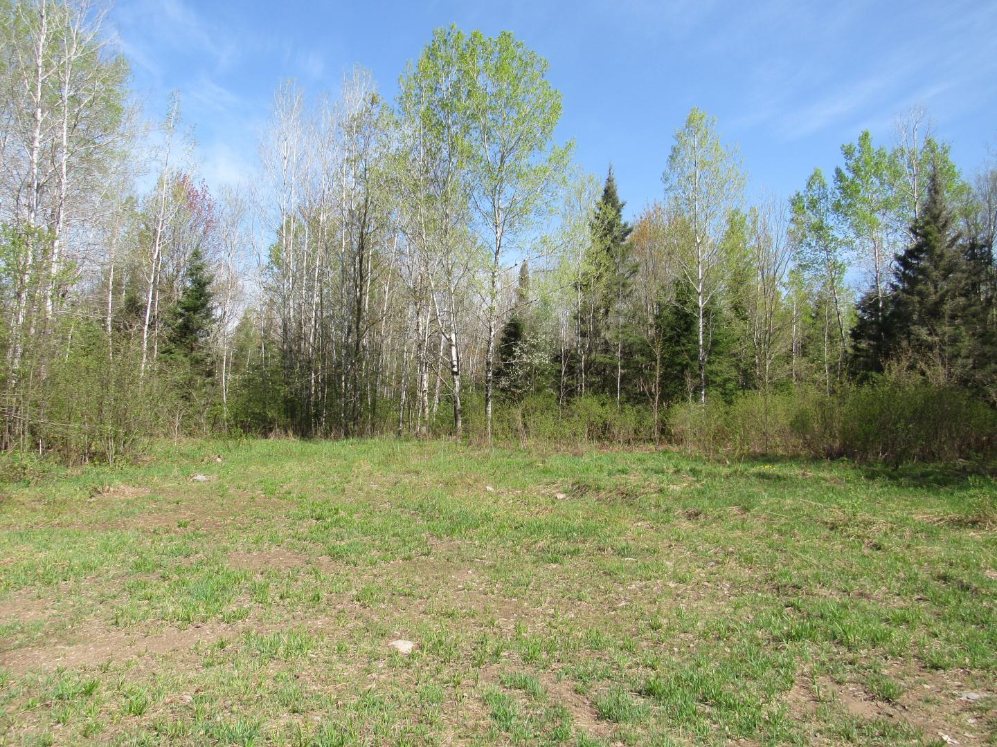 TBD US 141 Road, Lukes Road Amasa MI 49903