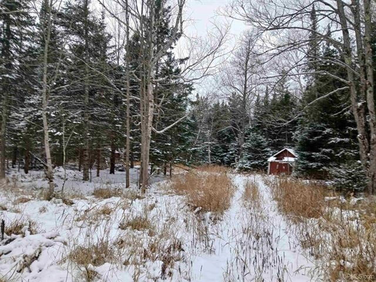 TBD Webb Road Skanee MI 49962