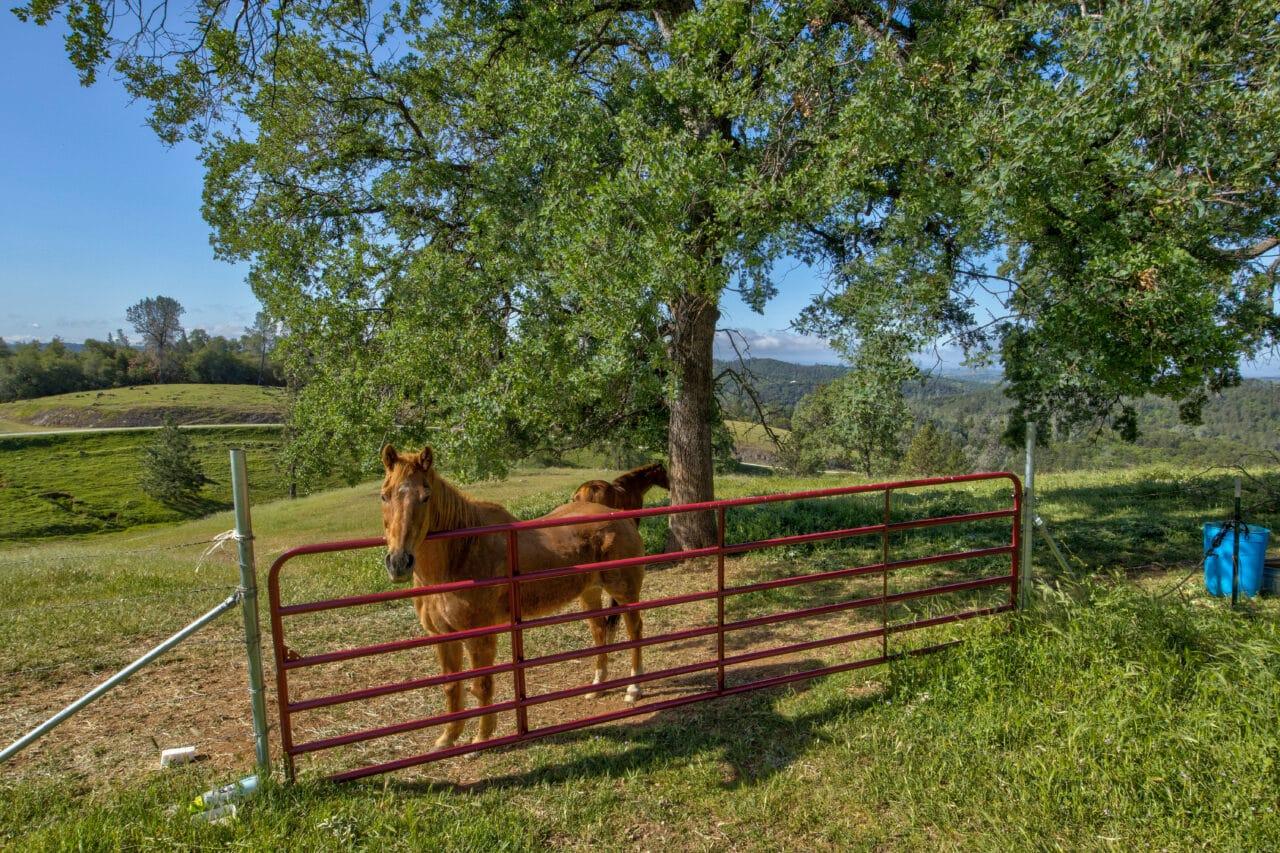Trembath Mountain Road Fiddletown CA 95629