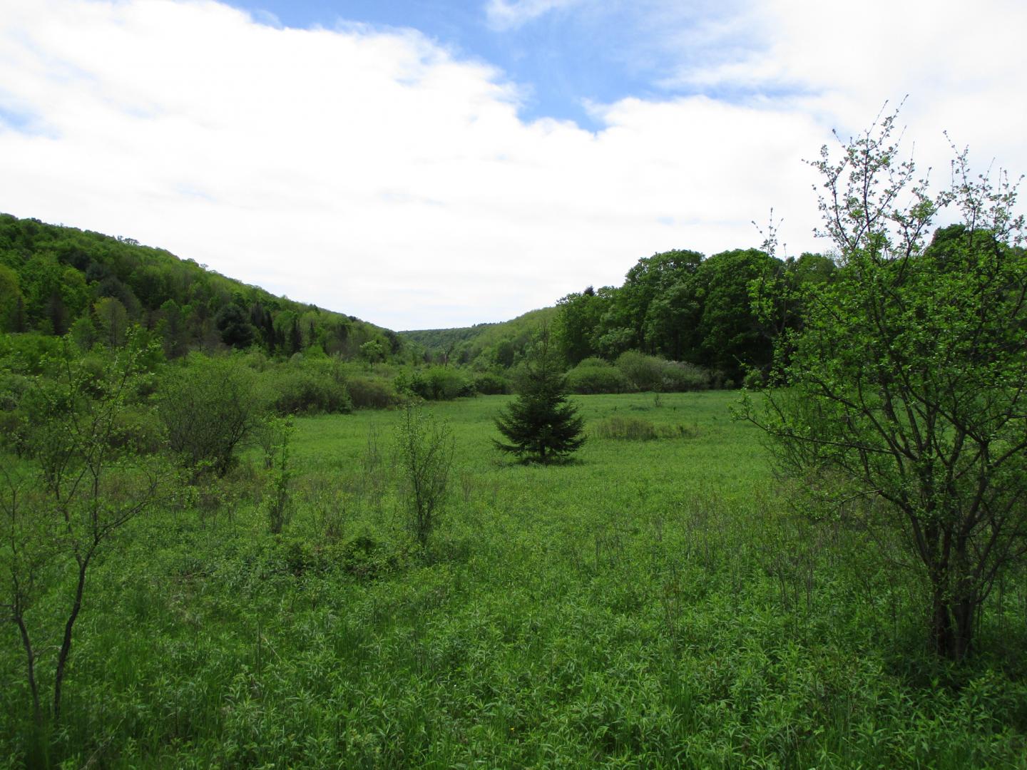 Union Valley Road Hinsdale NY 14743
