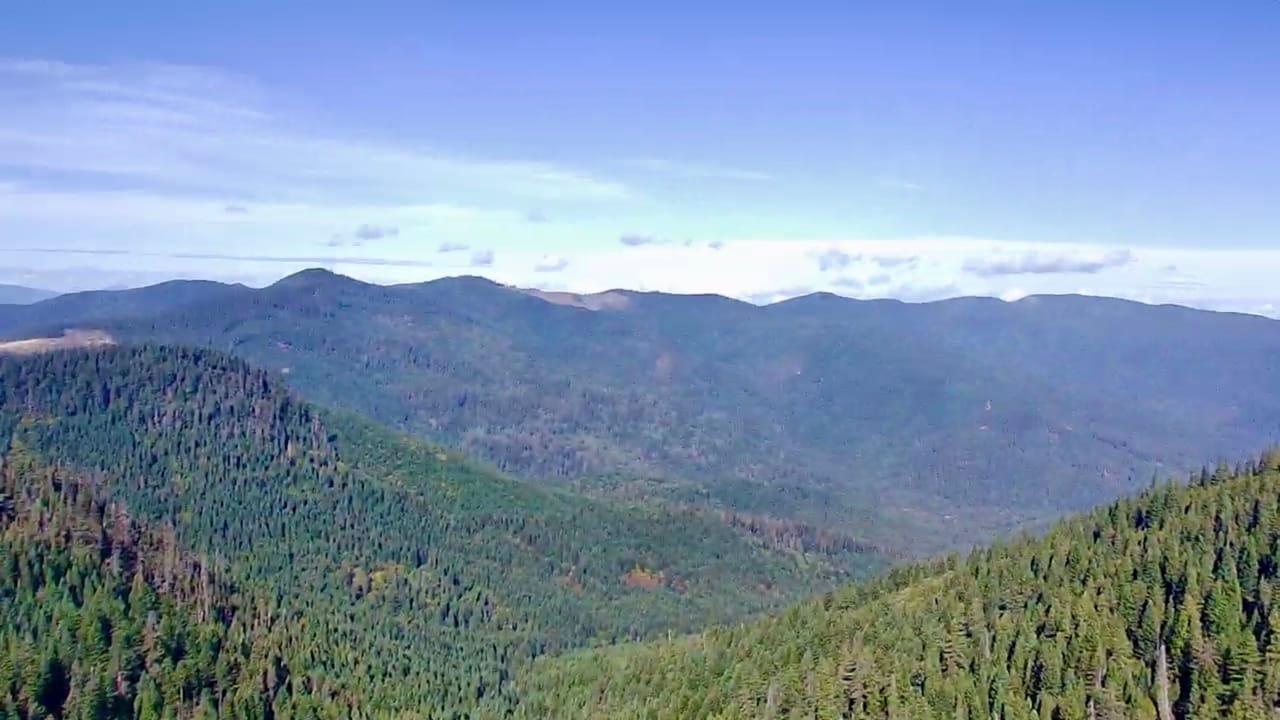 W. Williams Creek Rd Williams OR 97544